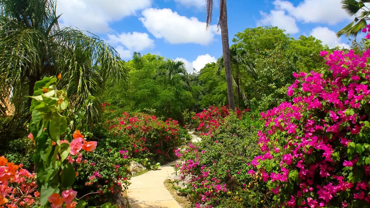 Sai chi si occupa dello studio delle piante? Ecco la risposta curiosa