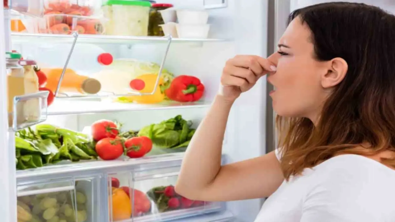 Il segreto per un frigo senza cattivi odori: il deodorante naturale fai-da-te che funziona sempre